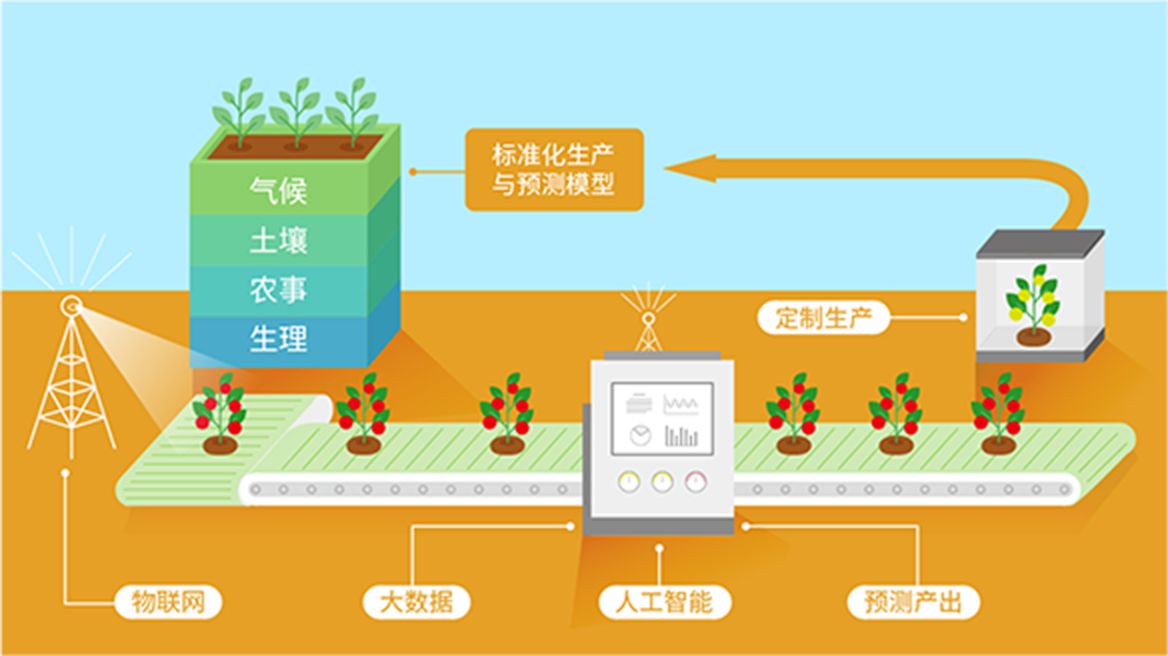 莆田現代化農業(yè)平臺解決方案